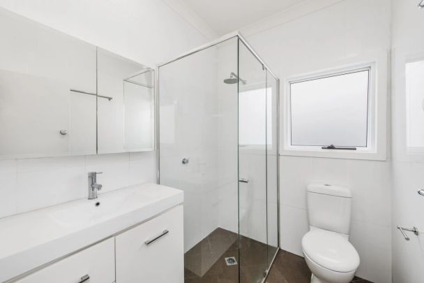 20 Breillat Street, Annandale. - Photo 1