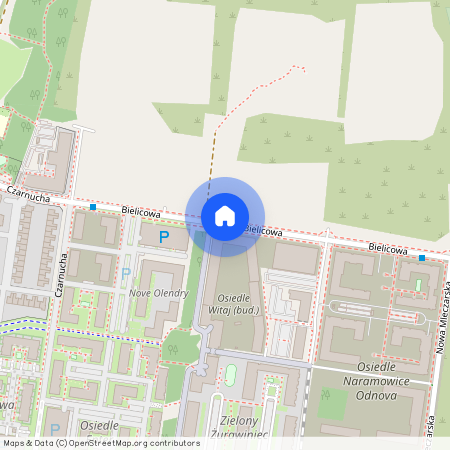 ul. Czarnucha, Naramowice, Stare Miasto, Poznań, wielkopolskie