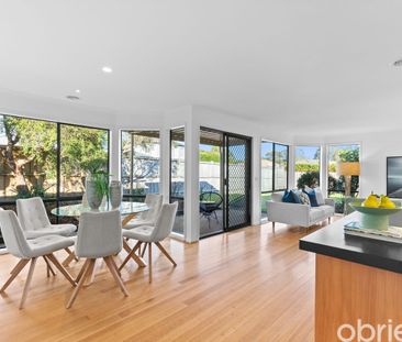 Spacious Family Living in a Sought-After Mornington Location - Photo 6