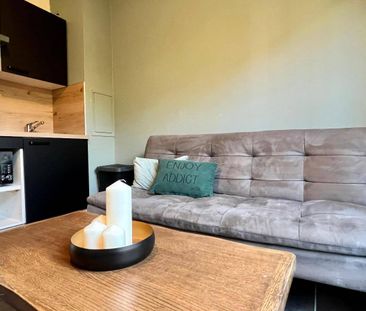 Location appartement 1 pièce 16.1 m² à Sallanches (74700) - Photo 5