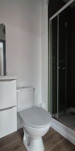 Location Appartement 1 pièce 16m² ROUBAIX 59100 - Photo 4