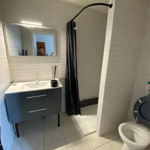 Location Appartement 1 pièce 19m² GRENOBLE 38000 - Photo 2