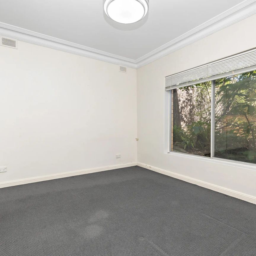 Spacious, Light-Filled Living in Leafy Myrtle Bank - Photo 1