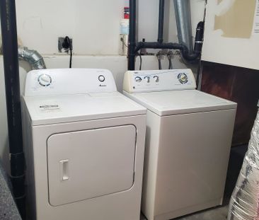 Lower Level 2 Bedroom Suite in Eastview! - Photo 4