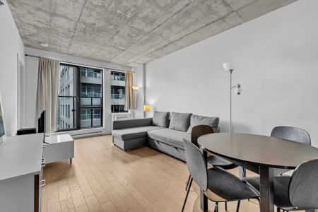195 Rue Peel, Montréal (Le Sud-Ouest), QC H3C - Photo 4