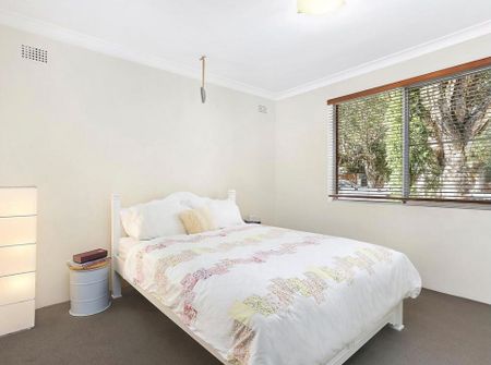 Wonderfully Light-Filled in a Quiet, Tree-Lined Street - Photo 2