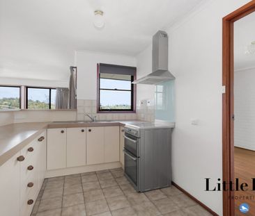 3/12 Wlikins Street, Mawson ACT 2607 - Apartment For Rent | Domain - Photo 5