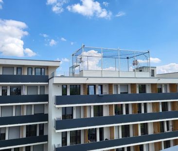 Möblierte Wohnung; Typ Komfort - nur für Studenten, Praktikanten - Foto 1