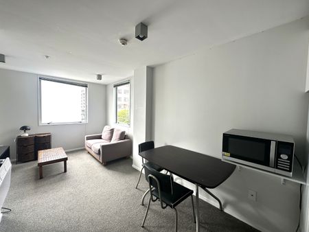 Centrally Located Furnished 1 Bedroom Apartment - Photo 3