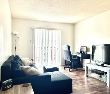 1 CH - 1 SDB - Gatineau - $1,150 /mo - Photo 4