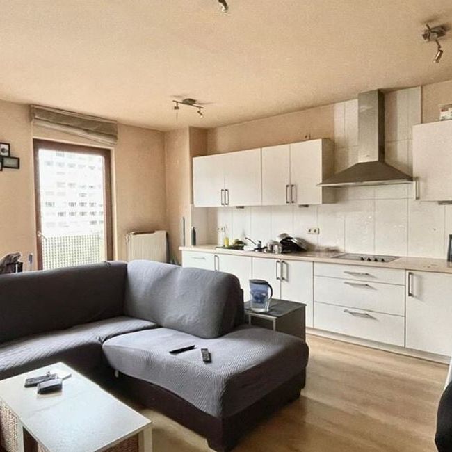 Appartement te huur in Antwerpen voor € 775 met 1 slaapkamer - Photo 1