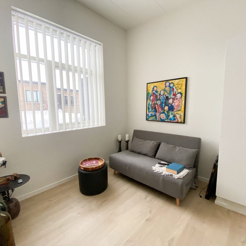 Skønt 4-værelses rækkehus i Visse - Photo 1