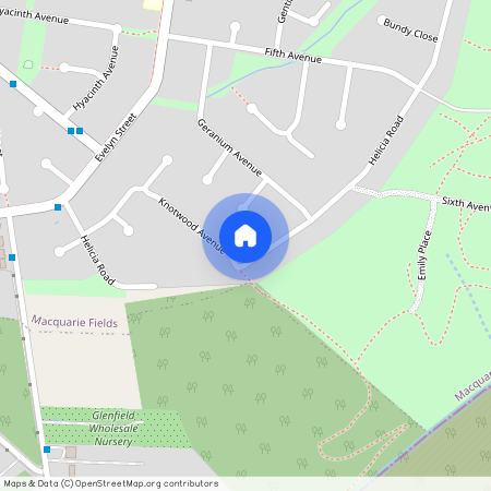 59 Helicia Road, Macquarie Fields, NSW 2564