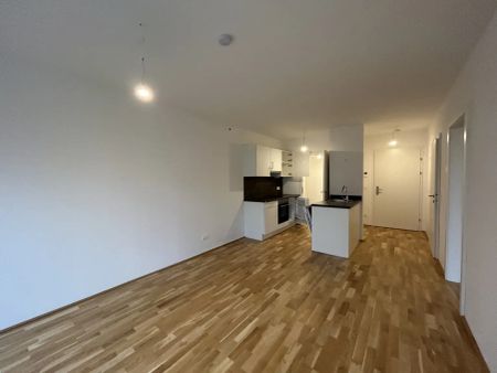 AKTION - 1. Monat Mietfrei - nähe Marchfeldkanal - Baujahr 2021 - Photo 5