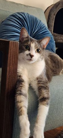 Wolli Creek - Photo 3