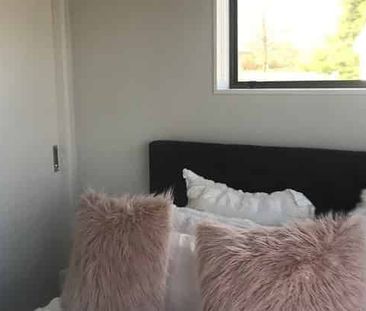 Small Home seeking professional person or couple - Photo 2