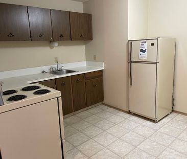 SPACIOUS 1 Bedroom 1 Bath Apartment in the heart of Red Deer!! - Photo 2