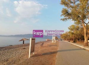 Διαμέρισμα για ενοικίαση - Δαφνούσες, - Photo 2