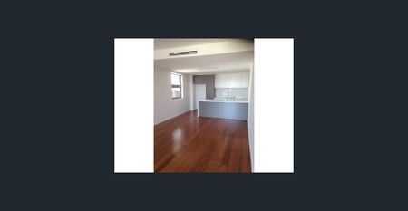 Opposite the University of Sydney- Unfurnished two bedroom apartment with treetop views... - Photo 5