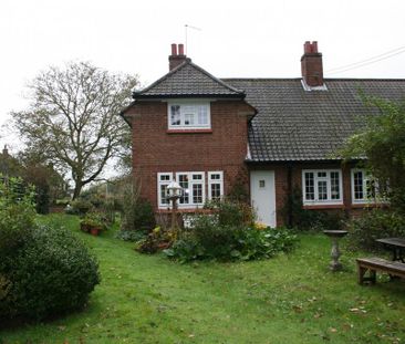 3 bedroom semi-detached house to rent - Photo 3