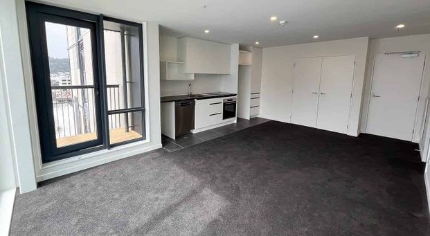 Modern North Facing Apartment in Te Aro - Photo 1