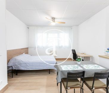 Monthly rental studio with 1 bedroom, 1 bathroom near Zoo Aquarium ... - Photo 5