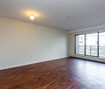 ***ONE FREE MONTH *** 1 bedroom for rent $1900 - Photo 3