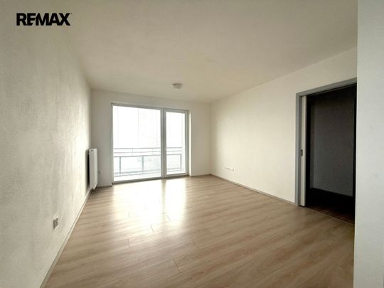 Pronájem bytu 2+kk v osobním vlastnictví 59 m², Plzeň - Photo 1