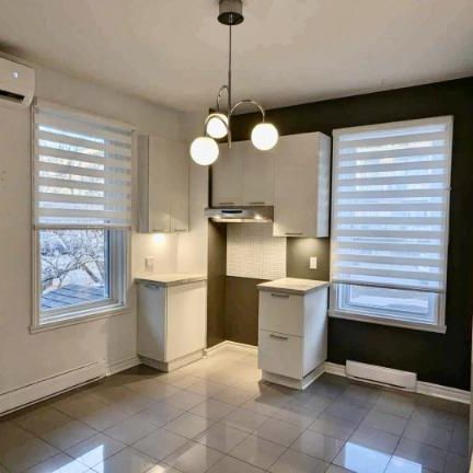 7 1/2 - Montréal (Hochelaga / Maisonneuve) - 2 575 $/mois - Photo 3