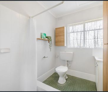 2/85 Morton Street, Queanbeyan NSW 2620 - Apartment For Rent | Domain - Photo 1