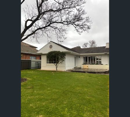 464 Magill Road, Kensington Gardens, SA 5068 - Photo 1