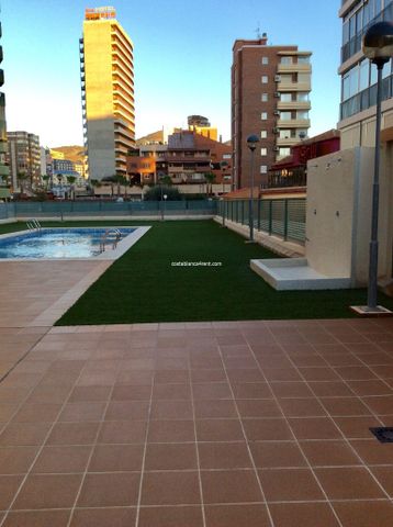 #Benidorm Levante , winter let minimum 3 months - Photo 3