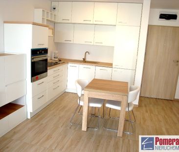 Nowe Miasto, ul. Potulicka - Zdjęcie 6