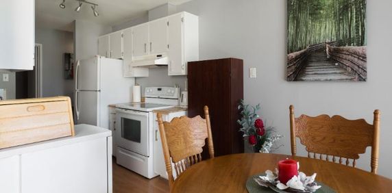 Appartement 4 ½ à louer juillet 2026 - Photo 2