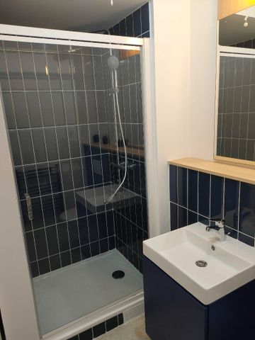 Appartement 1 pièce - Photo 4