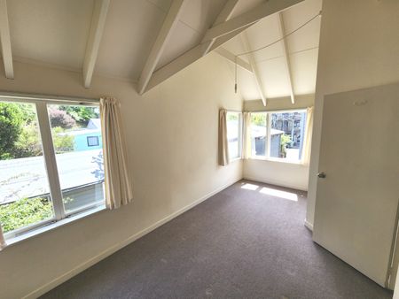Aro Valley Living - Photo 3