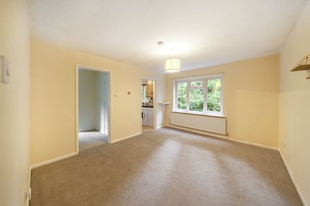 Lion Lane, Haslemere, Surrey, GU27 - Photo 1