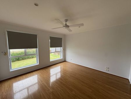 Spacious Family Home on Fern Street - Photo 2