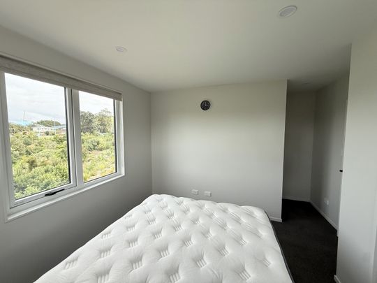 1 Te Toka Ika Lane, Mangere Bridge - Photo 1