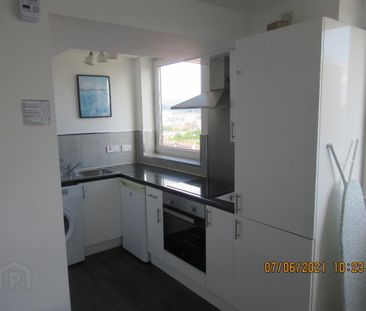 1302 Bradbury Court, Belfast, BT9 7JL - Photo 4