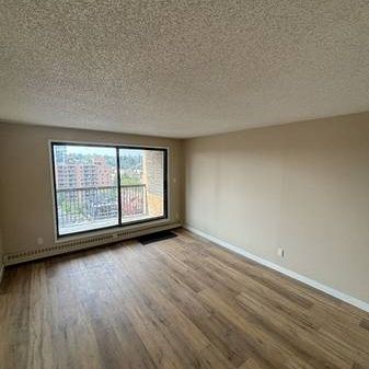 Brand New Kitchen--2 Bedroom Beltline Condo! - Photo 4