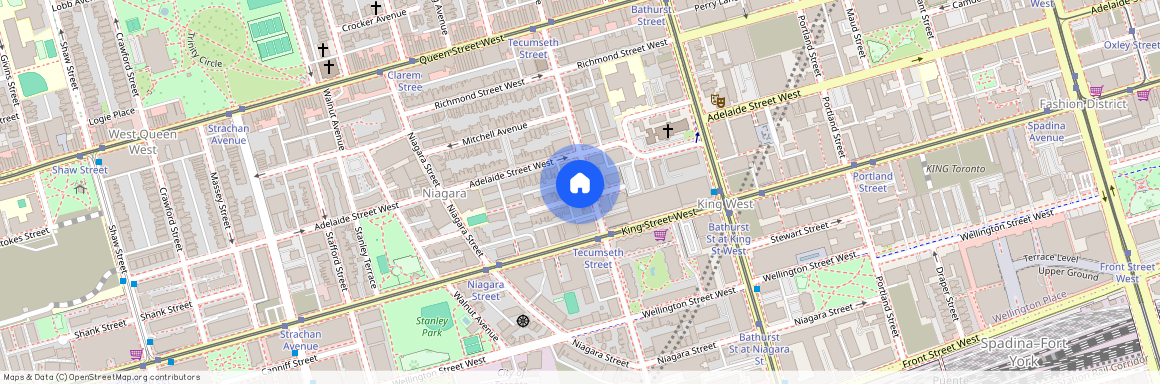 96 Tecumseth Street, Toronto