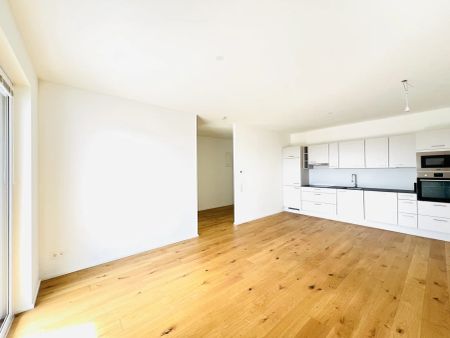 Zentral & naturnah: Wohnen nahe der Traisen & City-Flair genießen - Foto 5