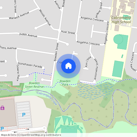 5 CRABB PLACE, NSW 2166, Cabramatta