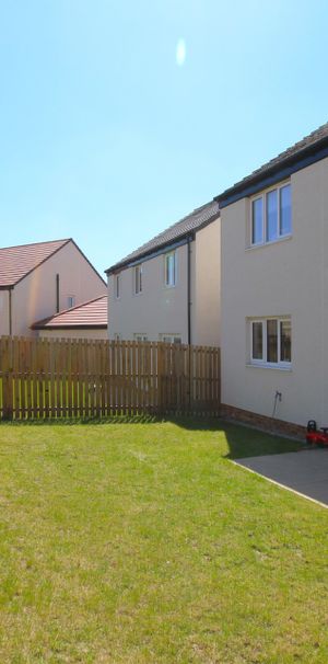 Lily Drive - Photo 2