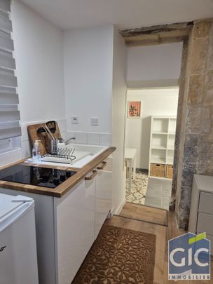 Location Appartement 1 pièce 16m² - Photo 1