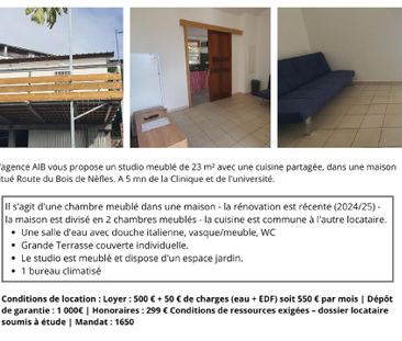 Location Appartement 1 pièce Meublé 23m² ST DENIS 97400 - Photo 1
