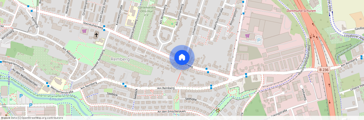 Steinkühlerweg 36, 44263 Dortmund - Hörde