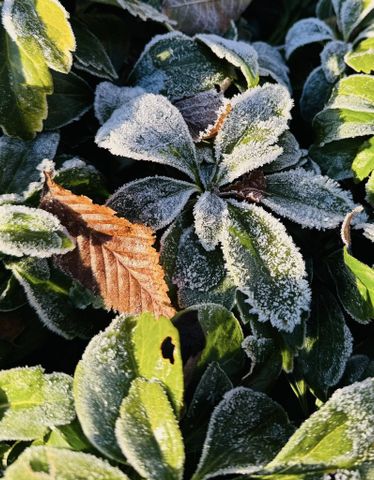 Verktumsgatan, Västra Frölunda - Photo 5