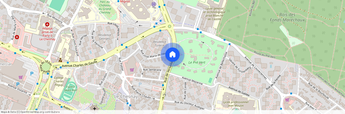 163 RUE DE VERSAILLES, 78150, Le Chesnay